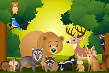 obrazy pre deti lesné zvieratká 